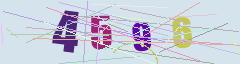 CAPTCHA validation image
