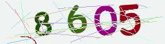 CAPTCHA validation image