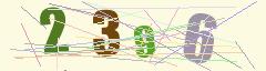 CAPTCHA validation image