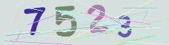 CAPTCHA validation image