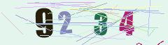 CAPTCHA validation image