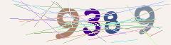 CAPTCHA validation image
