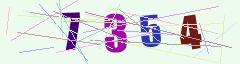CAPTCHA validation image