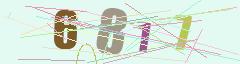 CAPTCHA validation image
