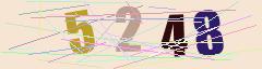 CAPTCHA validation image