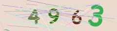 CAPTCHA validation image
