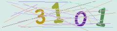 CAPTCHA validation image