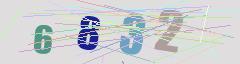 CAPTCHA validation image