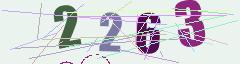 CAPTCHA validation image