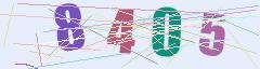 CAPTCHA validation image