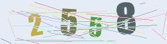 CAPTCHA validation image